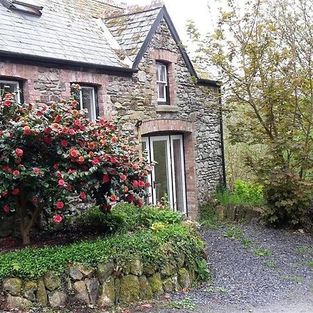 Cwmbrandy Cottage Фишгард Экстерьер фото