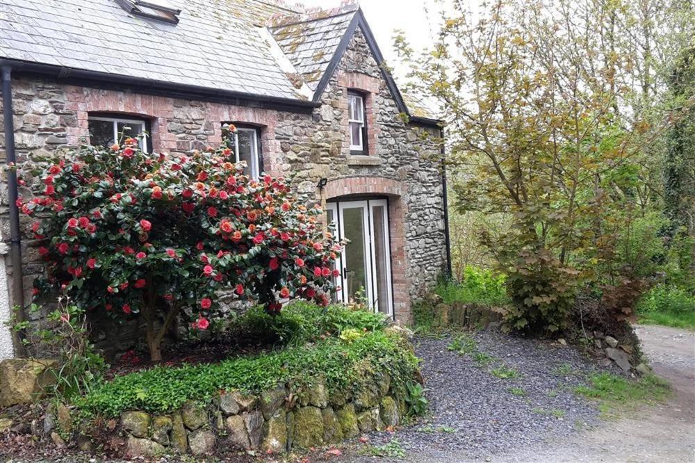 Cwmbrandy Cottage Фишгард Экстерьер фото